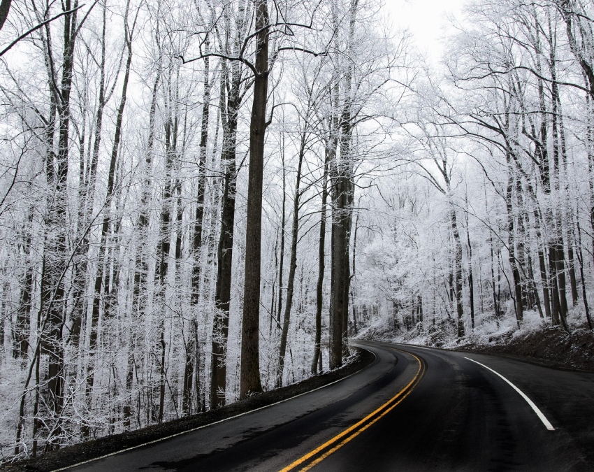 Last Road On Earth-1-2-3