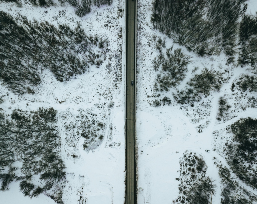 Last Road On Earth-1-2-3-4