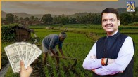 Maharshtra news