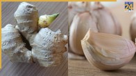 Fake Ginger Garlic Paste