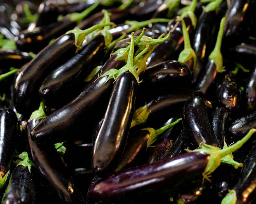 छिलके की चमक से मिलती है पहचान