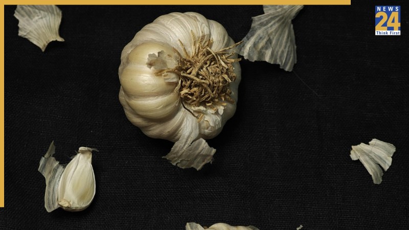 Garlic Health Benefits