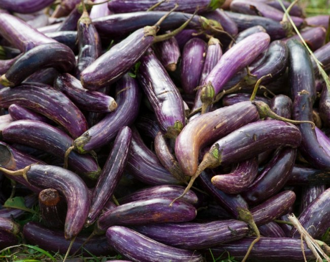 Baingan Buying Tips-1-2-3-4-5-6