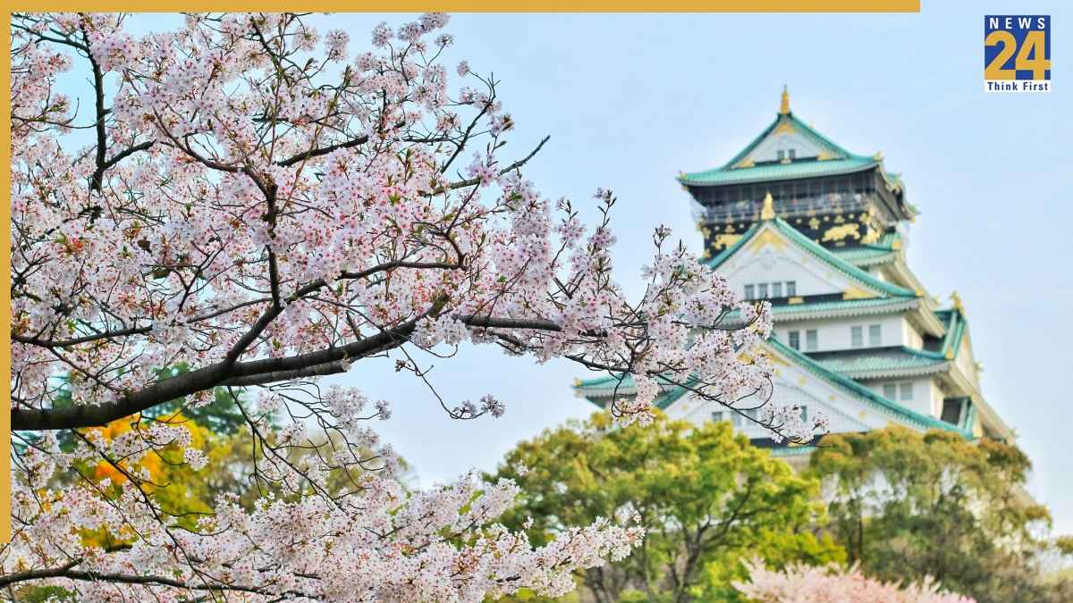 IRCTC Japan Cherry Blossom Tour Package 2026