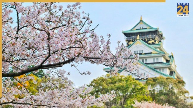 IRCTC Japan Cherry Blossom Tour Package 2026