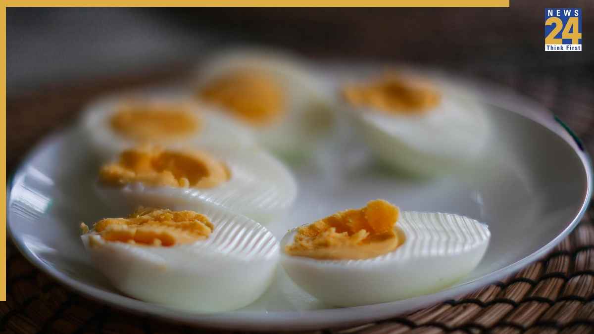 Is It Safe To Eat Eggs Every Day,