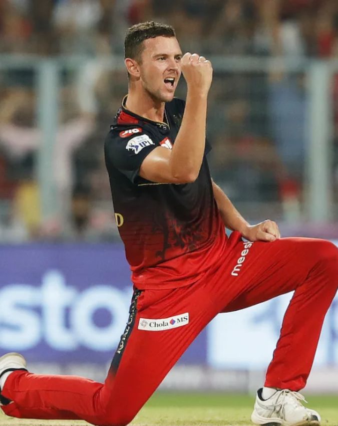 Pat Cummins Josh Hazlewood -1-2