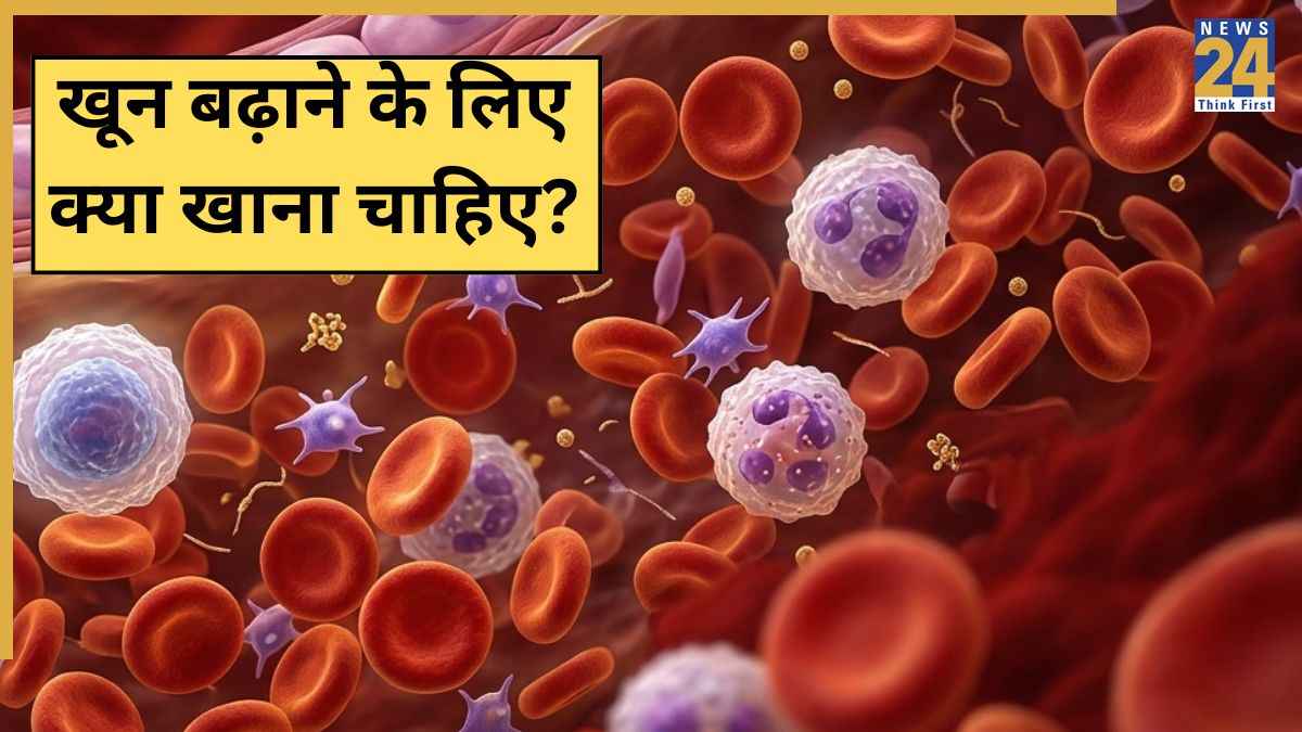 Blood Increasing Food