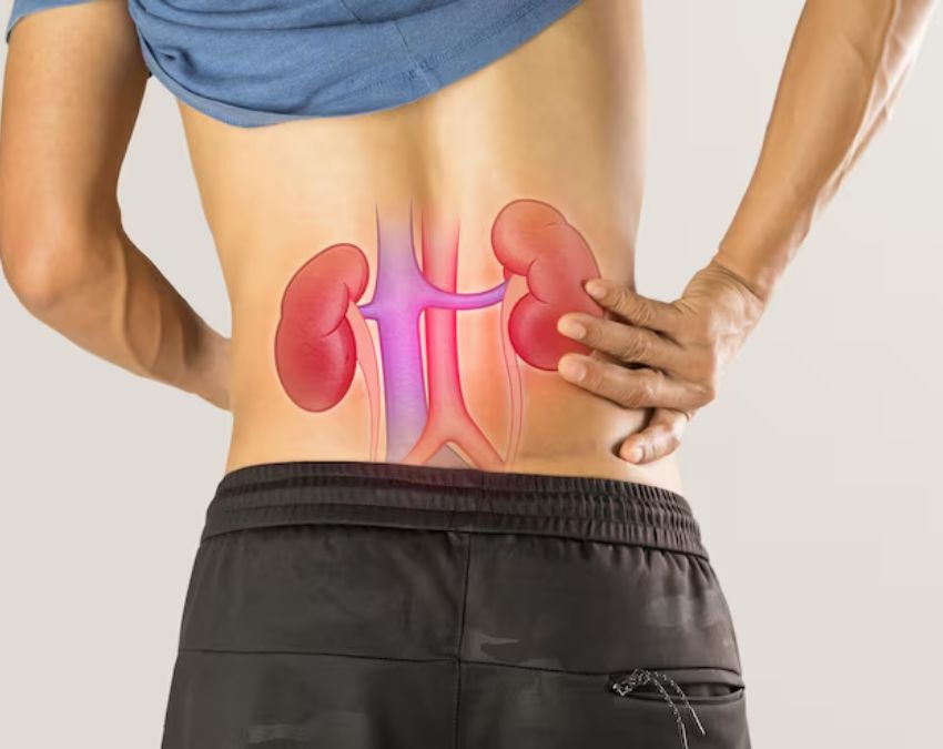 Single Kidney Failure Diseases-1-2