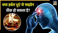 Migraine Yagya chikitsa
