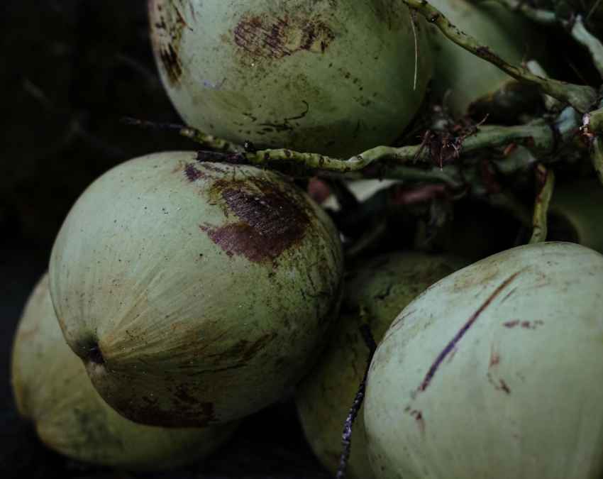 ऊपरी हिस्से की जांचें