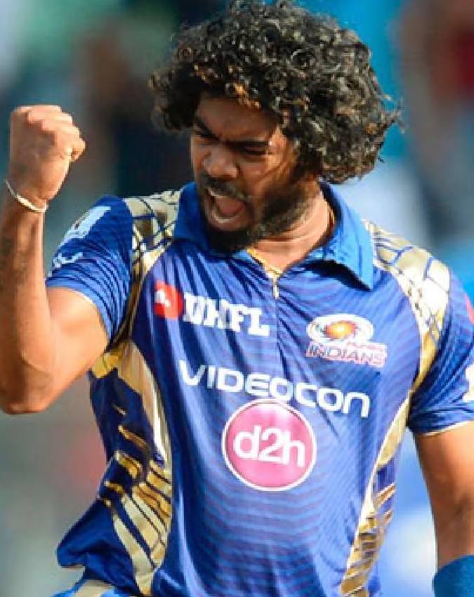 Most Wickets in an IPL Season-1-2-3-4-5