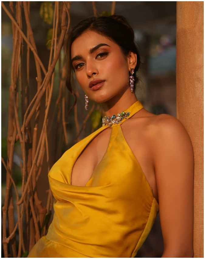 टीवी एंकर 
