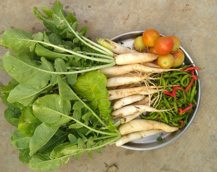 Healthy Vegetables For Heart Healthy Vegetables For Heart-1-2-3-4-5-6-7