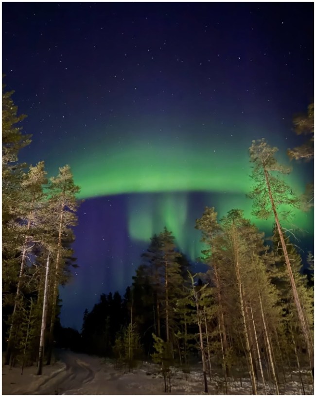 Nupur Sanon, stebin ben-1-2-3-4-5-6-7