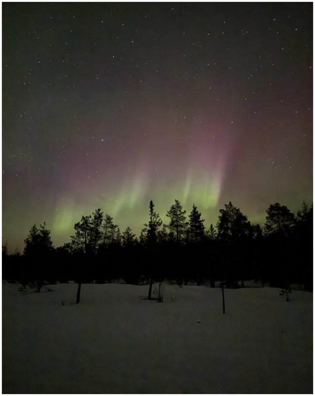 Nupur Sanon, stebin ben-1-2-3-4