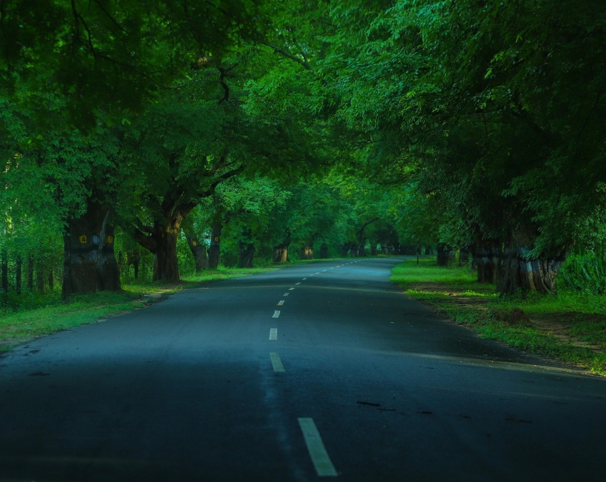 Summer Vacation Destinations For Kids-1-2-3-4-5-6-7