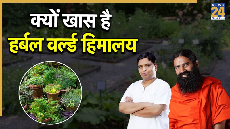 Patanjali Herbal World Himalaya Patanjali Herbal World Himalaya