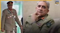Qamar Javed Bajwa