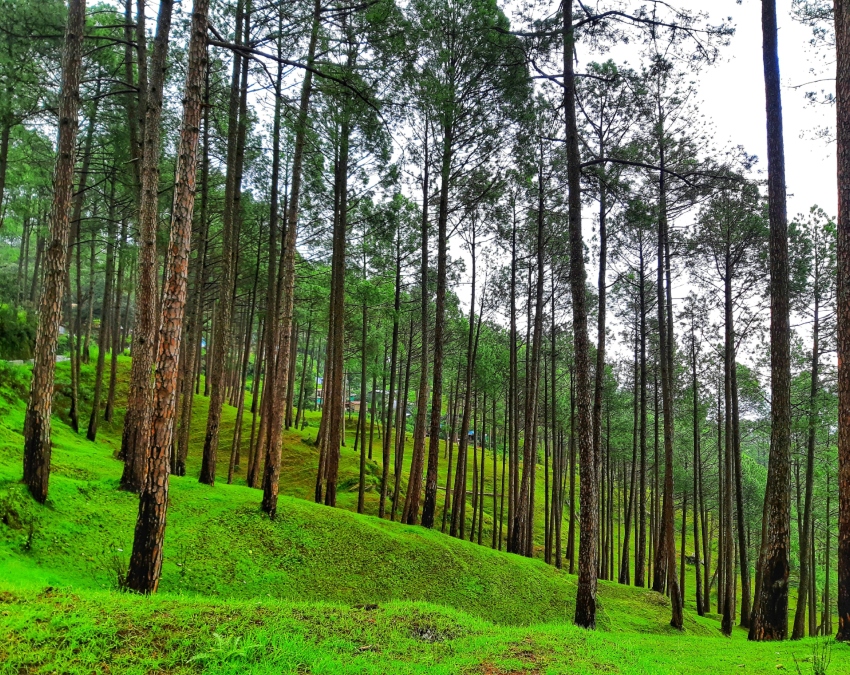 Summer Vacation Destinations For Kids-1-2-3-4