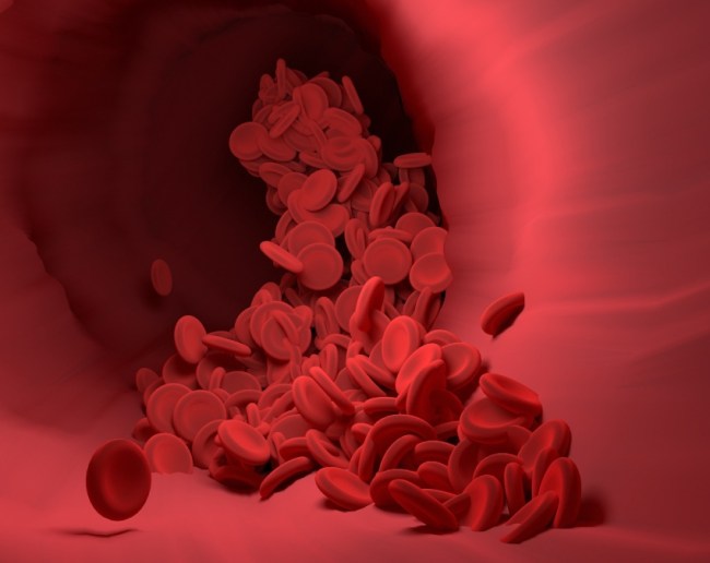 Foods That Block Arteries-1-2-3-4-5-6-7