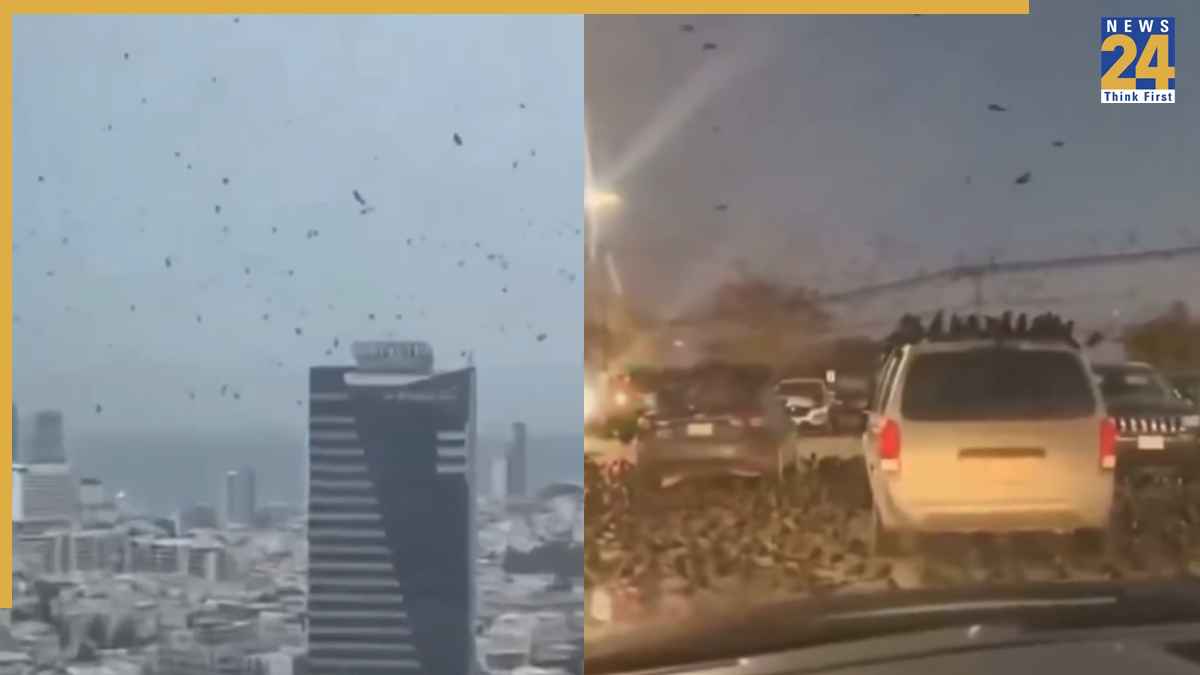 Watch: क्या आने वाला है प्रलय? युद्ध के बीच इजरायल के आसमान में दिखा हजारों कौवों का झुंड, लोगों में डर का माहौल!