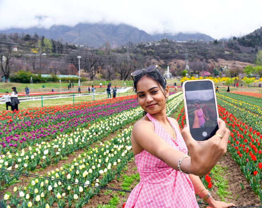 Tulip Front -1-2-3-4-5