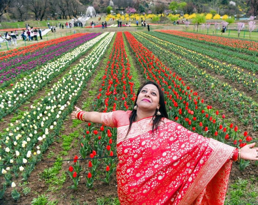 Tulip Front -1-2-3-4-5-6-7