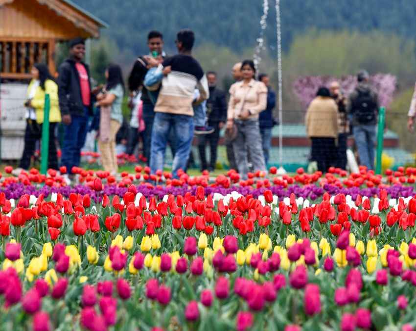 काफी संख्या में पहुंचे लोग