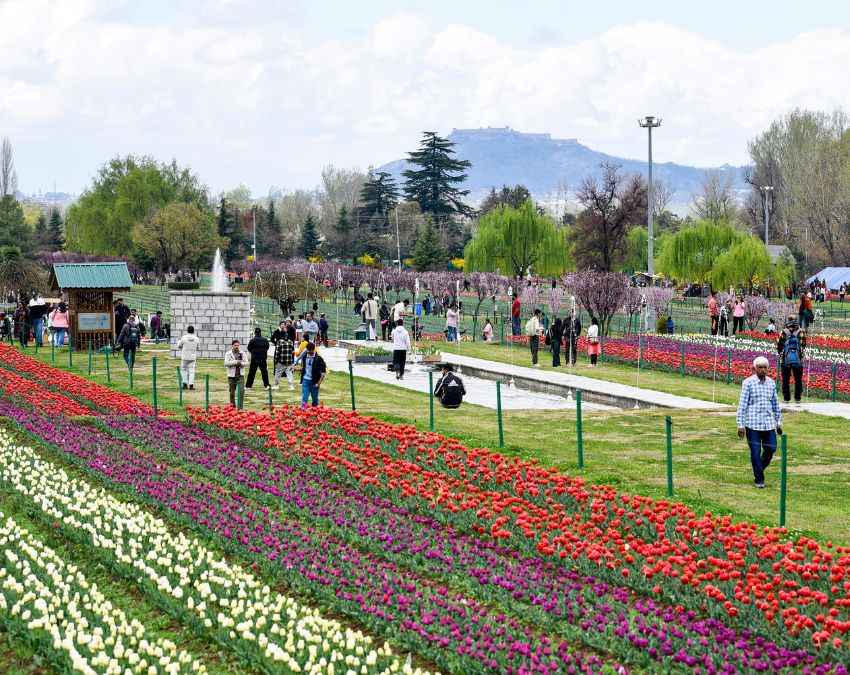 काफी संख्या में पहुंचे लोग