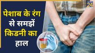 Kidney Disease Urine infection