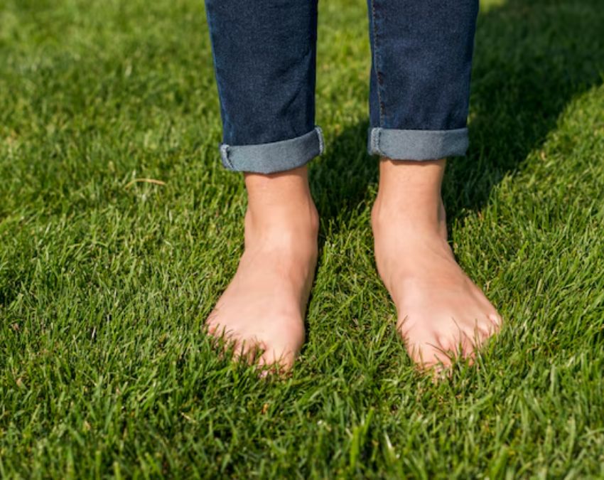 Honey Garlic Eating Benefits Honey Garlic Eating Benefits-1-2-3-4-5