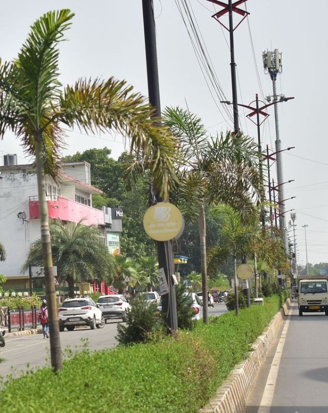 Benefits of plants on Divider-1-2-3-4-5-6-7-8