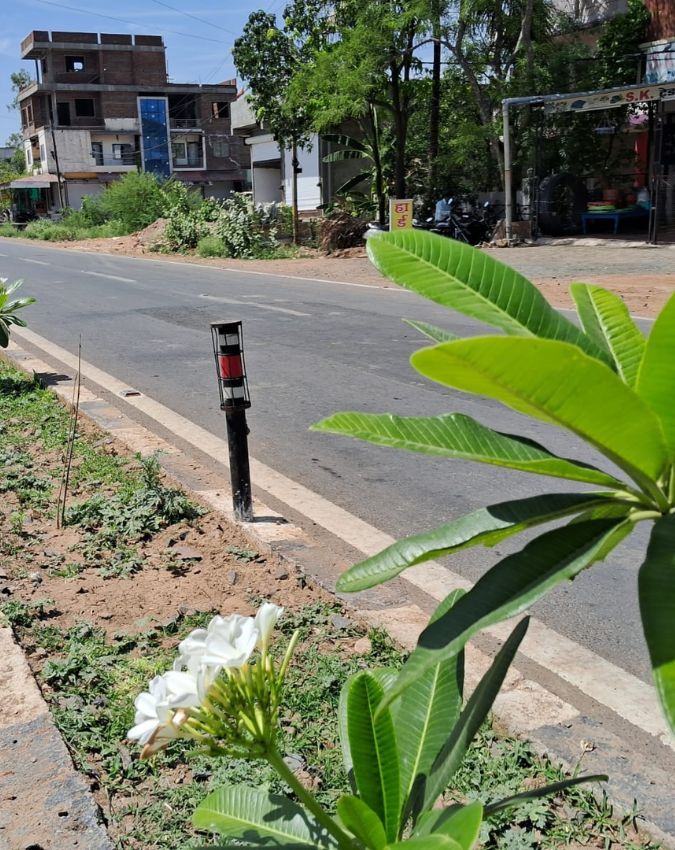 Benefits of plants on Divider-1-2-3-4-5-6-7-8-9