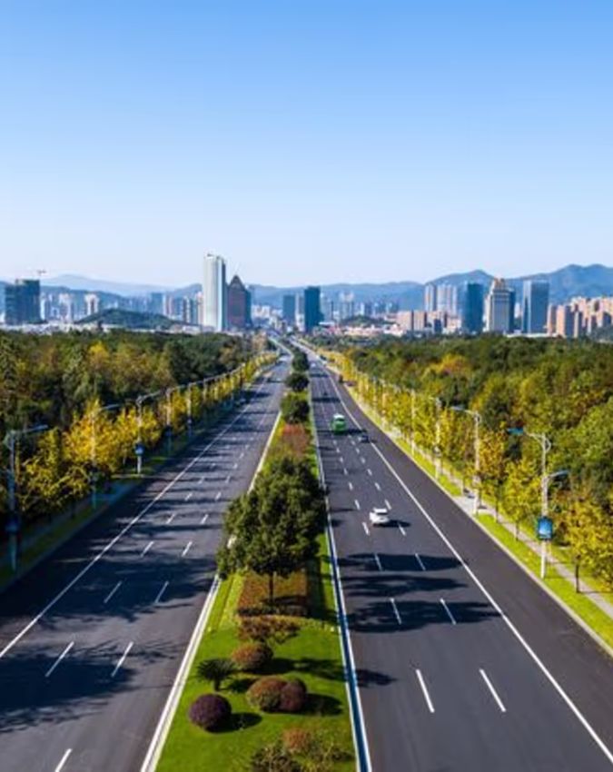 Benefits of plants on Divider-1-2-3-4-5-6-7-8-9-10