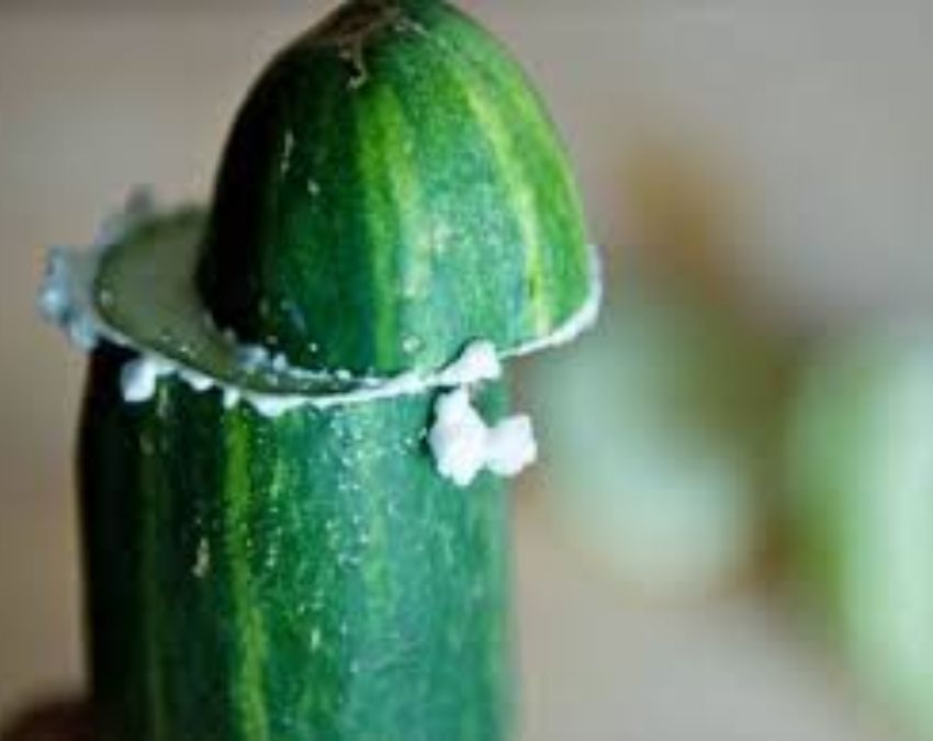 Cucumber End Rubbing Is Useful-1-2