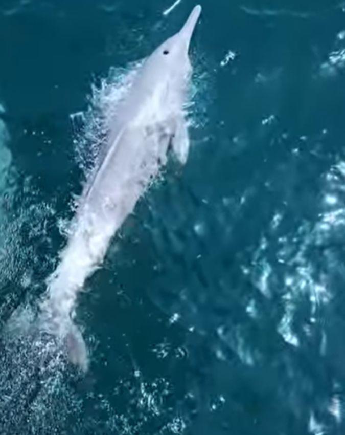 Strait of Hormuz Strait of Hormuz-1-2-3-4-5-6