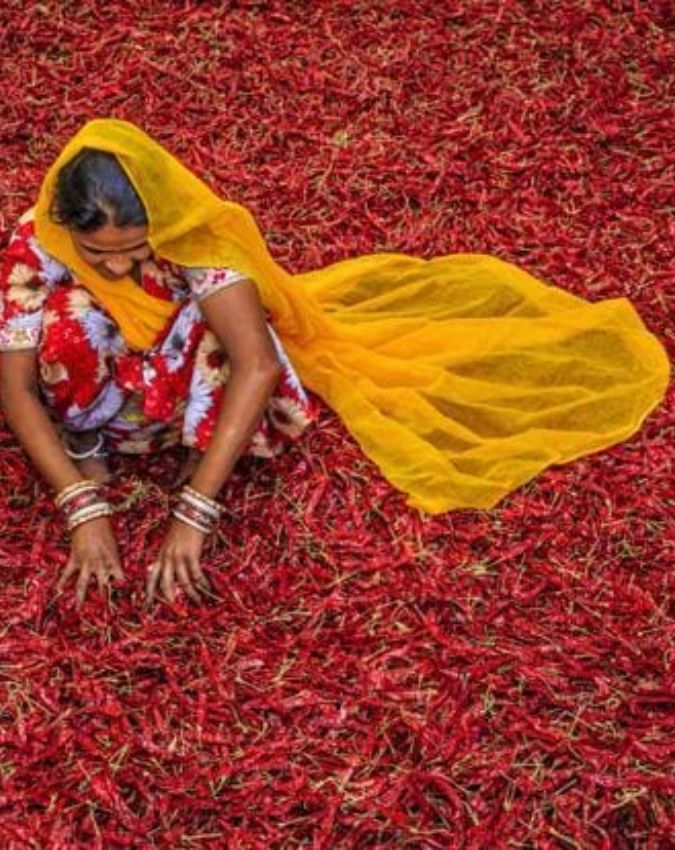 Guntur Chilli capital of India Guntur Chilli capital of India-1-2-3