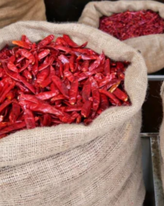 Guntur Chilli capital of India Guntur Chilli capital of India-1-2-3-4-5-6-7-8