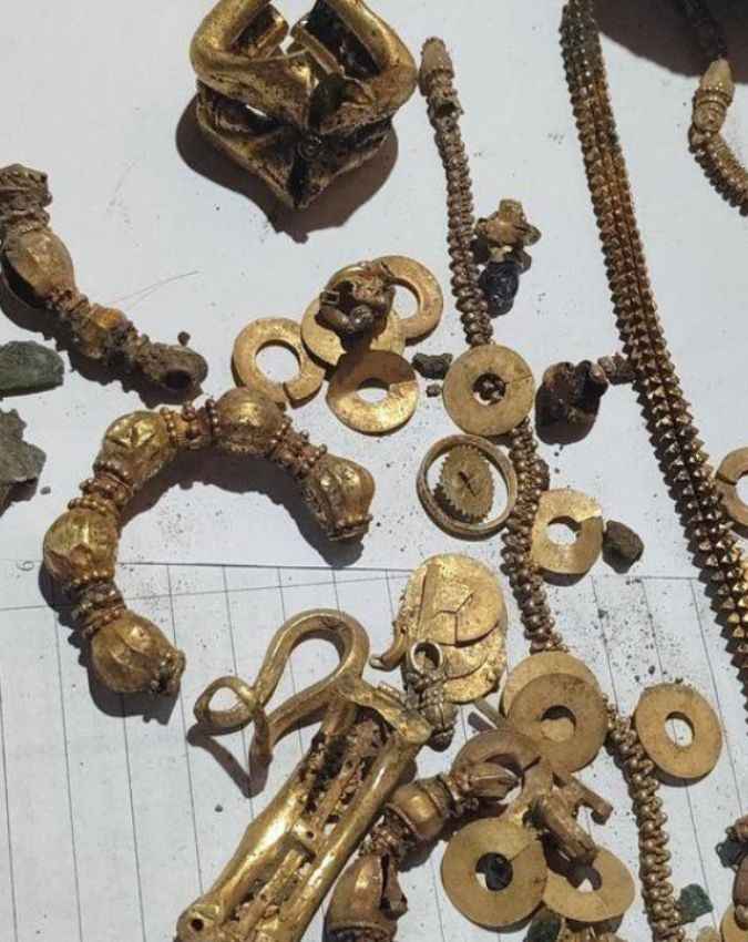 विशेषज्ञों ने शुरू की जांच