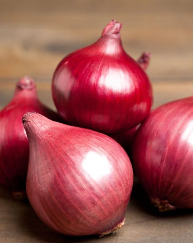 How To Get Rid Of Lizards At Home How To Get Rid Of Lizards At Home-1-2-3-4-5-6