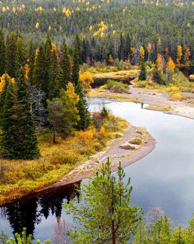 Finland free trip-1-2