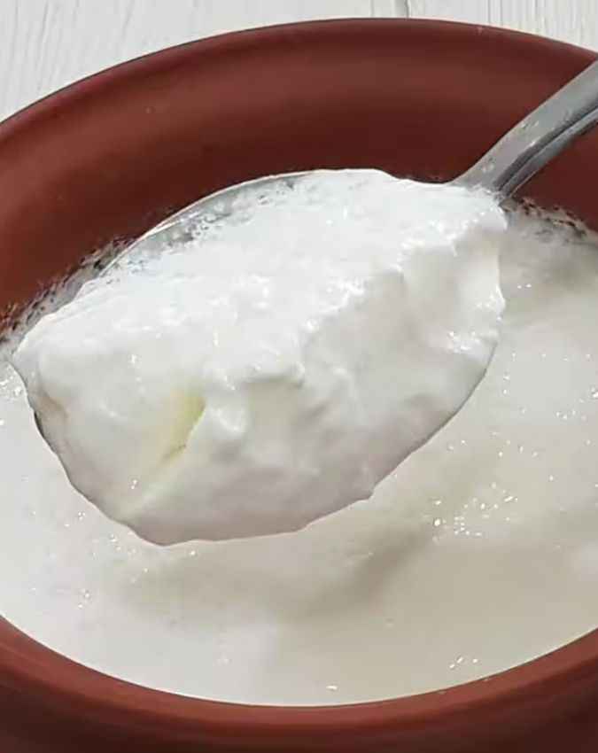 खाने में फर्मेंटेड फूड्स शामिल करें