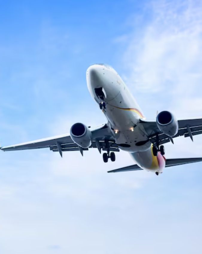 Do Airplanes Have Horns-1-2-3