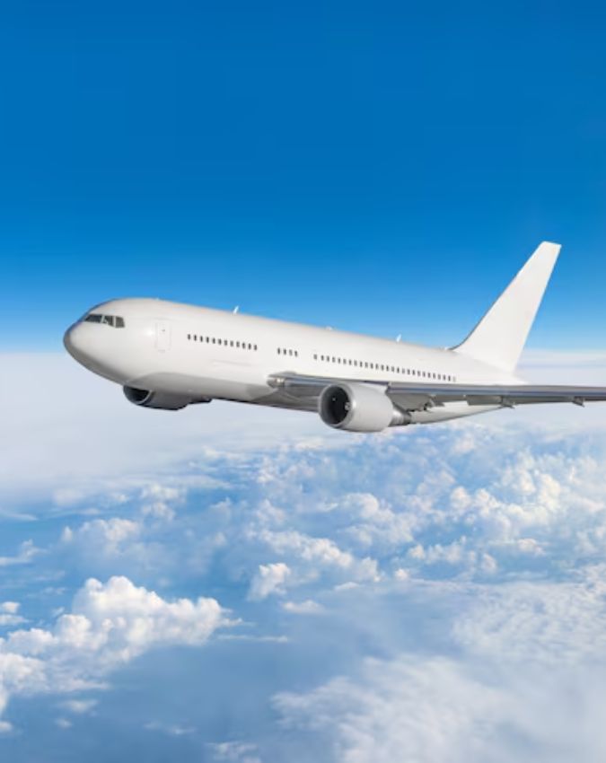 Do Airplanes Have Horns-1-2