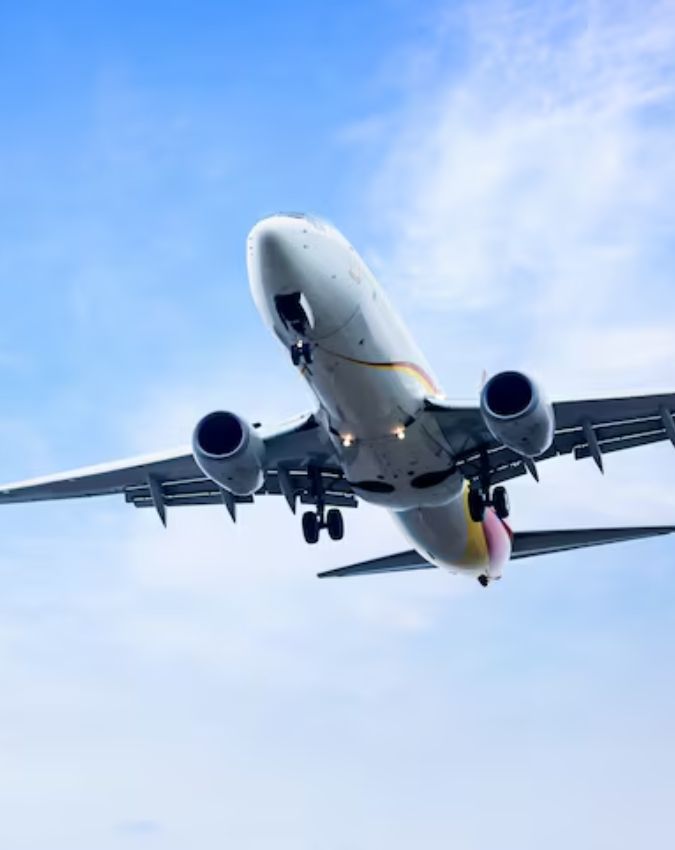 Do Airplanes Have Horns-1-2-3-4-5-6-7-8