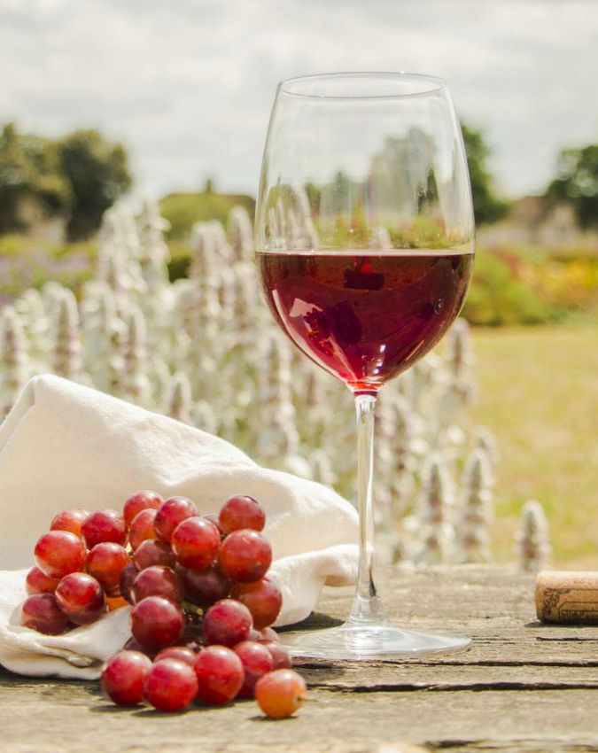 red wine benefits health-1-2-3-4-5-6-7