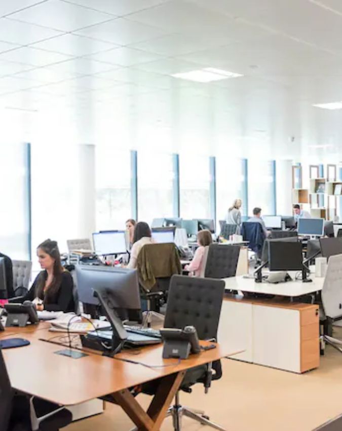 china office rules-1-2-3