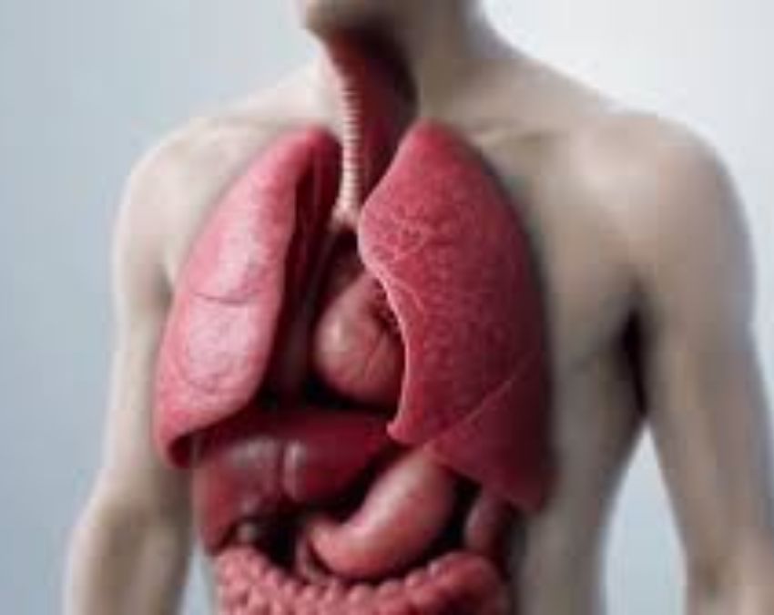 Tuberculosis prevention Tuberculosis prevention-1-2-3-4-5