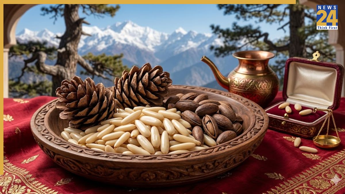 Chilgoza Dry Fruits Price Chilgoza Dry Fruits Price-1